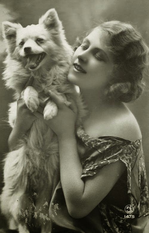 fotografías vintage con perros oh! fancy dog