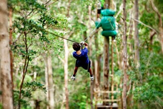 Image Result For Konstruksi Flying Fox Image Result For Konstruksi Flying Fox
