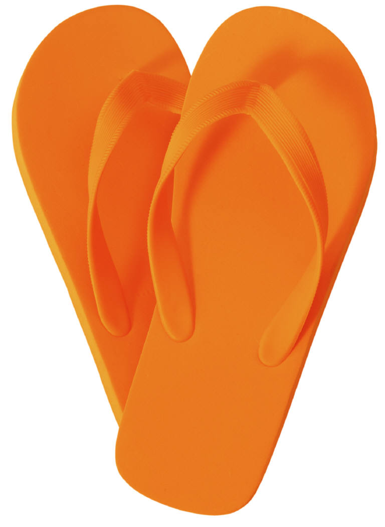 Оранжевые предметы картинки для детей