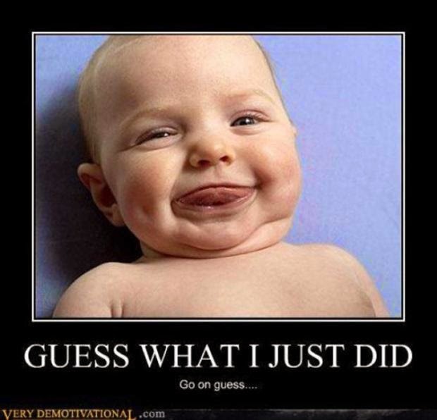 Latest Funny Pictures And Latest Funny Videos Free Download Latest Funny Pictures And Latest Funny Videos Free Download
