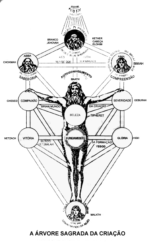 Magnum Opus Aeternam Árvore Da Vida Magnum Opus Aeternam Árvore Da Vida