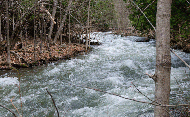 Щебериха река. Реки воды живой. Ручьи весной. Текущая река. Шум бегущей воды