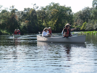 Louisiana's Hidden Gem: Saddle Bayou Campground, Where Nature's Symphony Plays On
