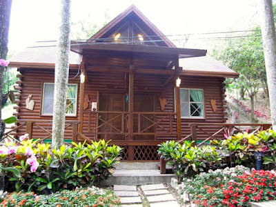 Where to Stay in Xitou Nature Recreation Area, Nantou