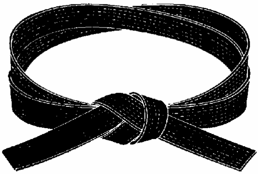 Martial Thoughts: The Meaning of a Black Belt