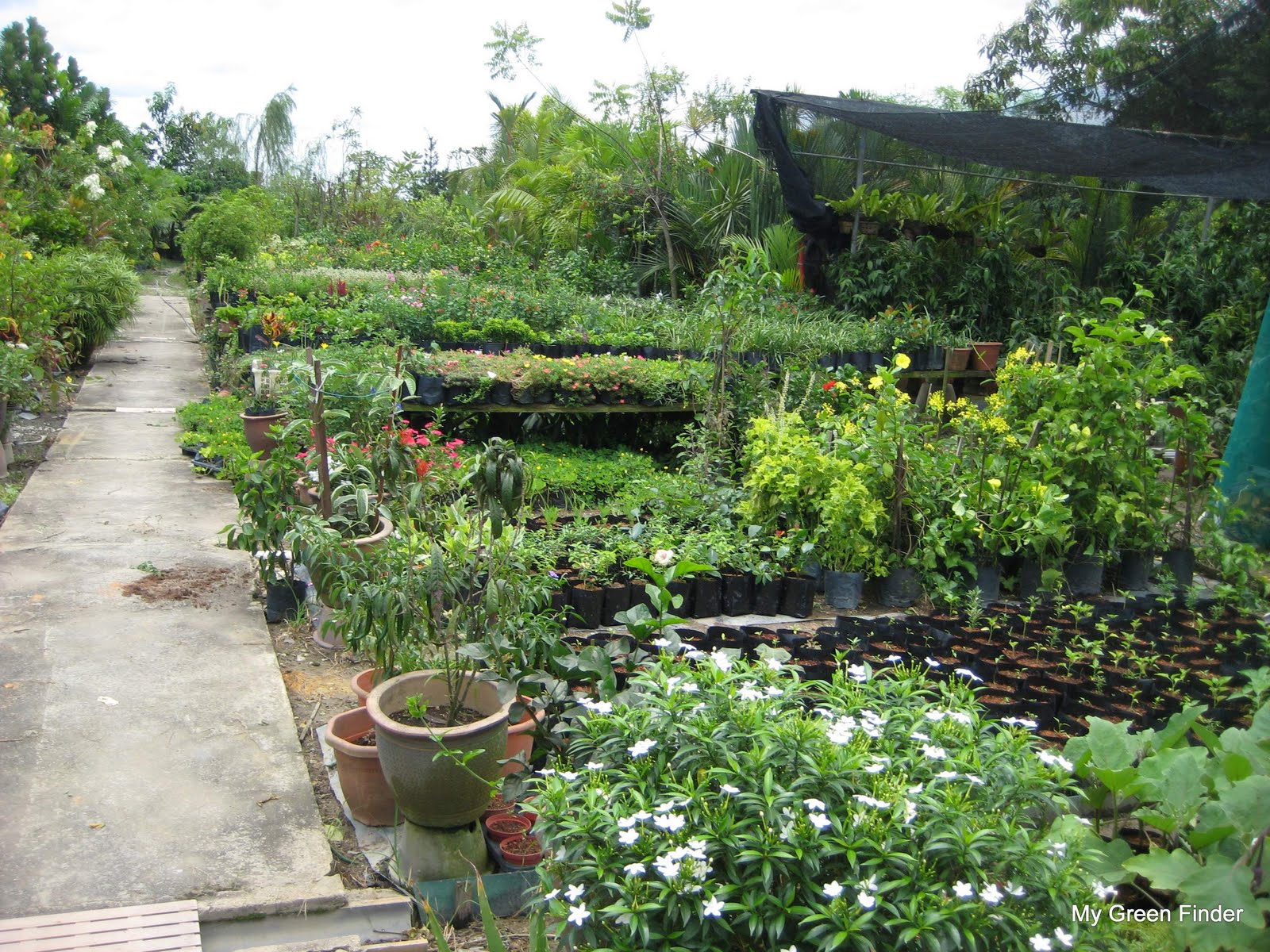 Plant nursery hoover al
