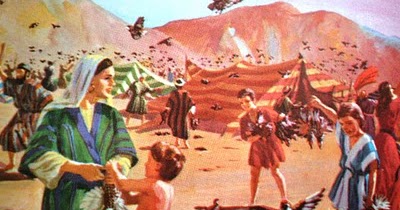 Sombra do Onipotente: AS CODORNIZES NO DESERTO