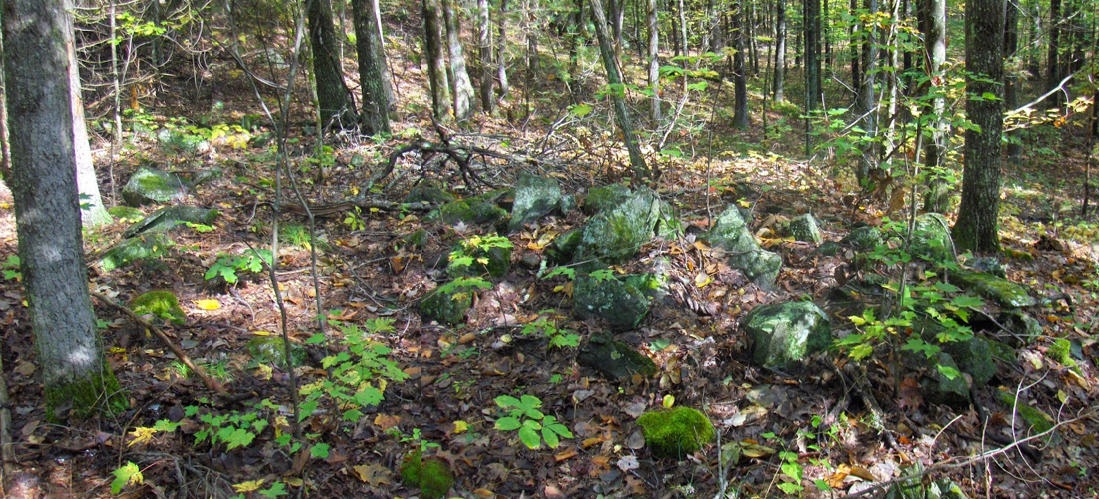 Rock Piles: Crystal Springs - wherein Peter explores an old site, takes ...