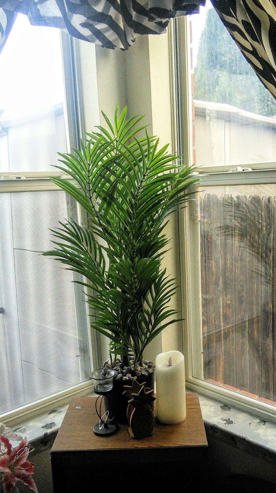 What plant would you like to have in your house?