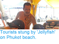 https://sciencythoughts.blogspot.com/2018/10/tourists-stung-by-jellyfish-on-phuket.html