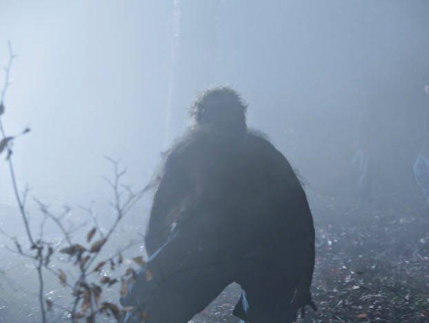 The Test Blog for Blogger and Gadgets: The Rougarou,