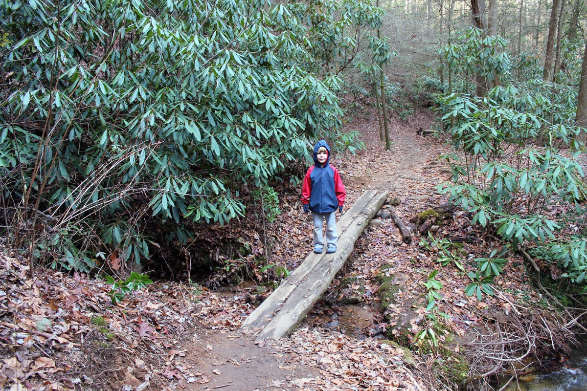 The westbounds Visiting Helen, GA and hiking to Raven Cliff Falls