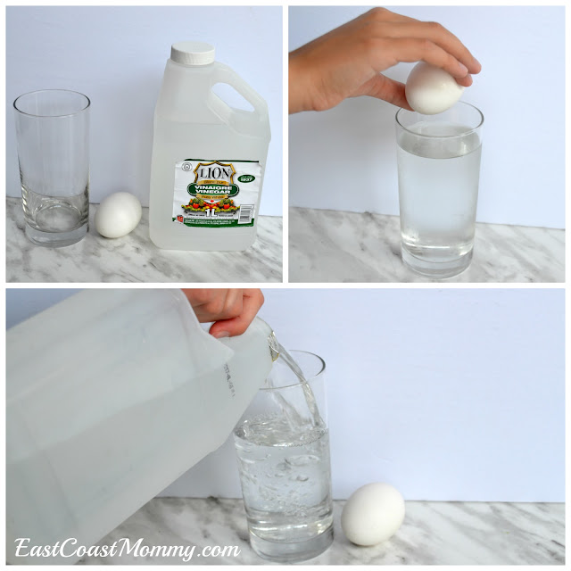 East Coast Mommy: Making a Bouncy Egg... a fun and simple science