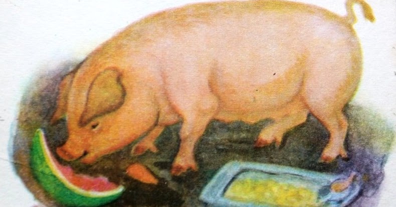 Крылов свинья читать. Иллюстрации к басне свинья. Свинья из басни. Свинья из басни Крылова. Рисунок к басне Крылова свинья.