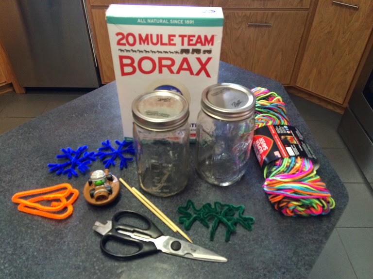 JAKES Place: Science Fun: Making Borax Crystals