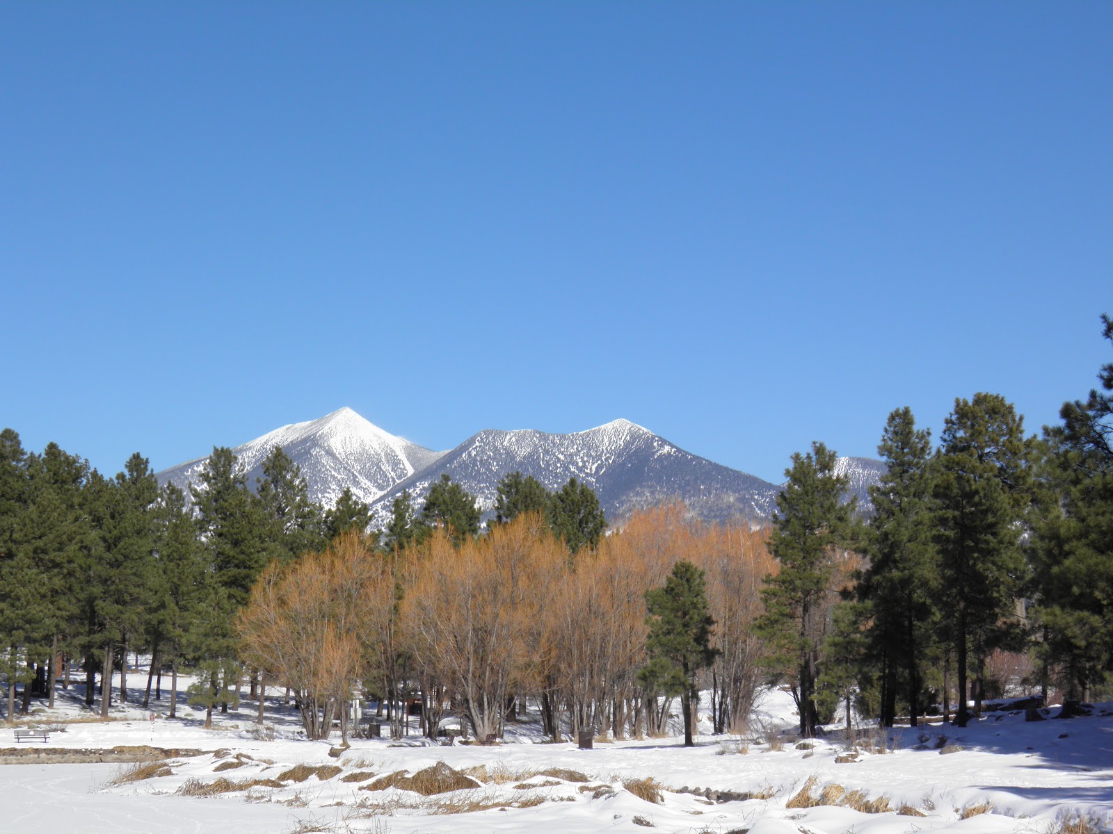 walking flagstaff flagstaff after christmas views