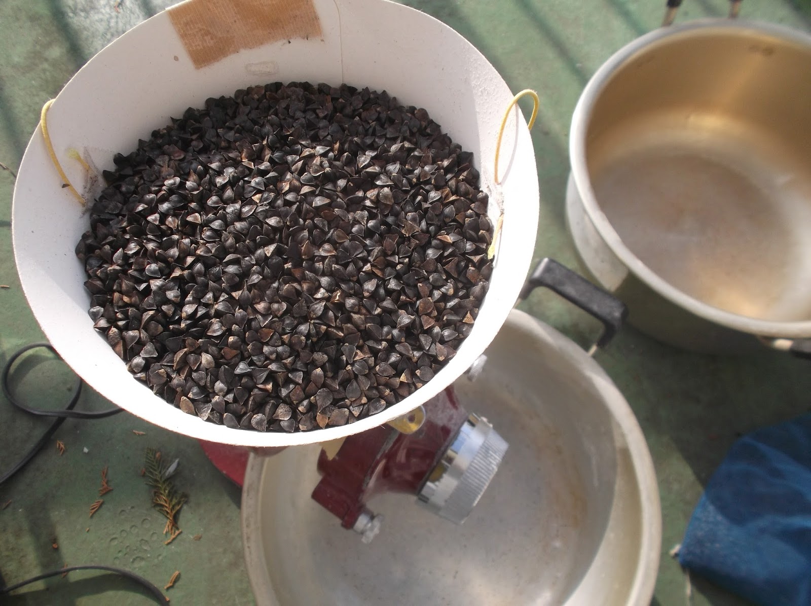 Hiroyuki's Blog on Japanese Cooking Grinding Buckwheat Grains into
