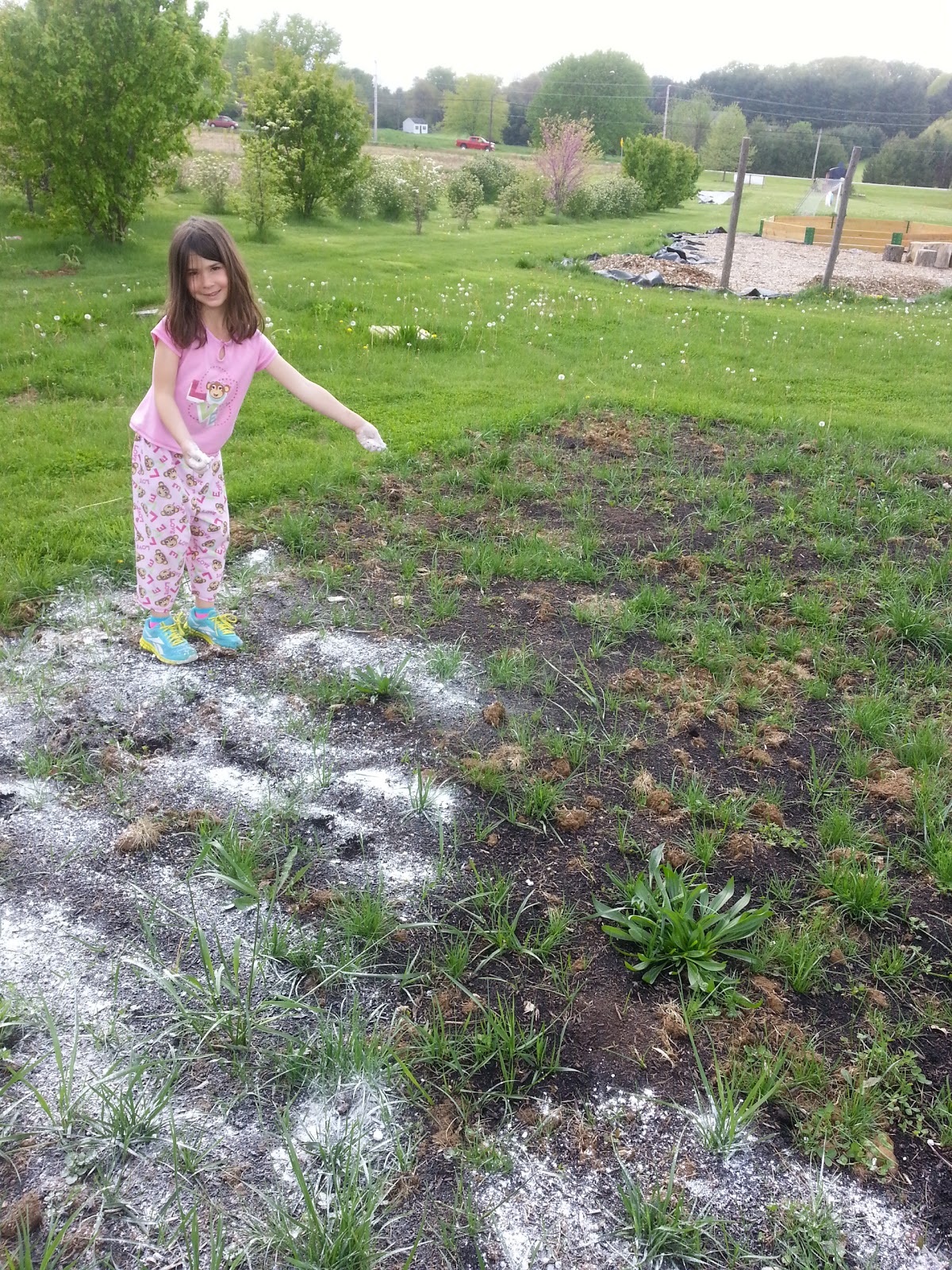 north-carroll-community-school-garden-project