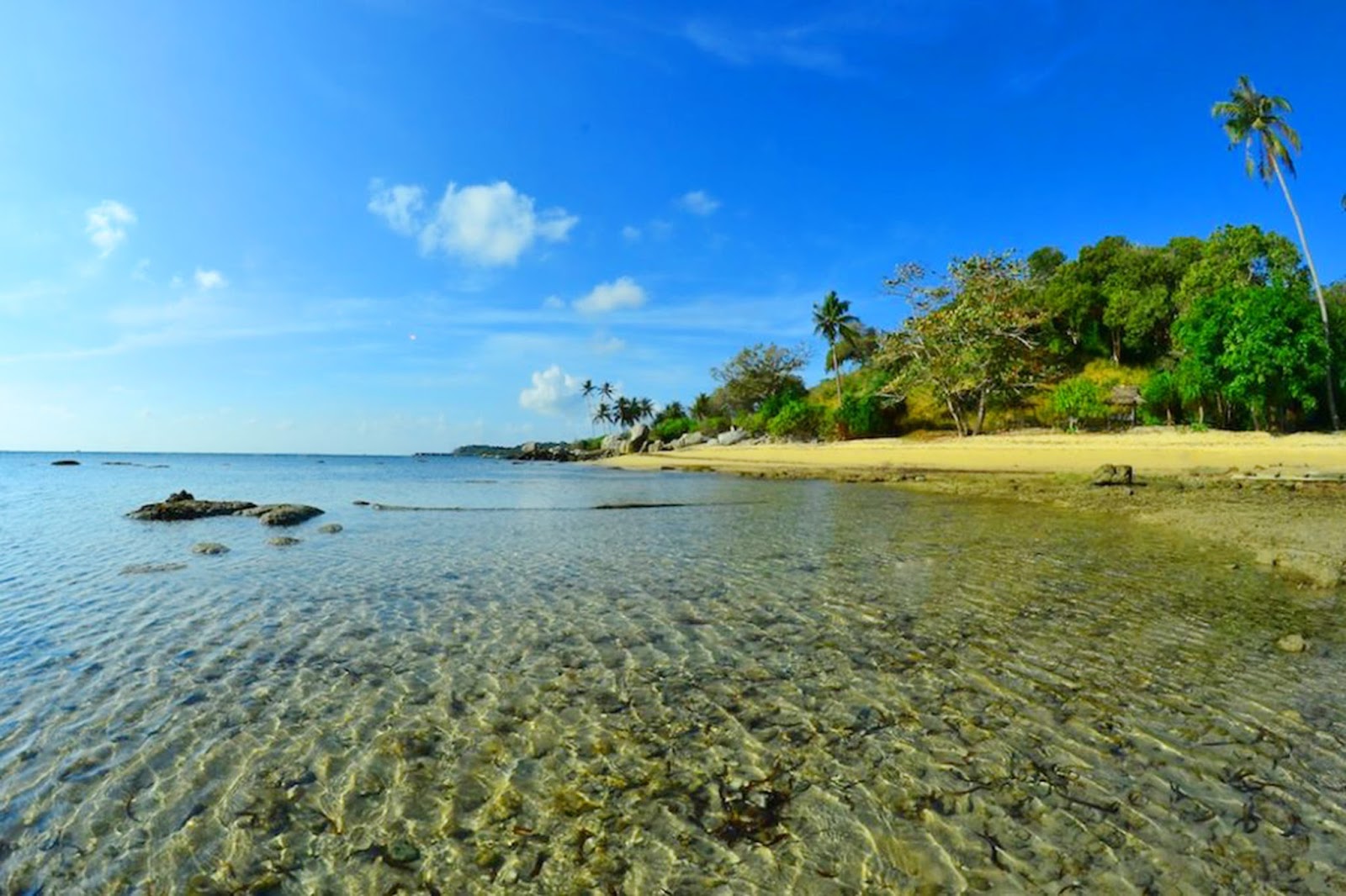 Trikora Beach is located in Riau Islands province. Precisely located in Malang Rapat Village, Gunung Kijang District, Bintan Regency, Riau Islands Province, Sumatera. This beach is 45 km to the east of the provincial capital of Riau Islands, Tanjungpinang.