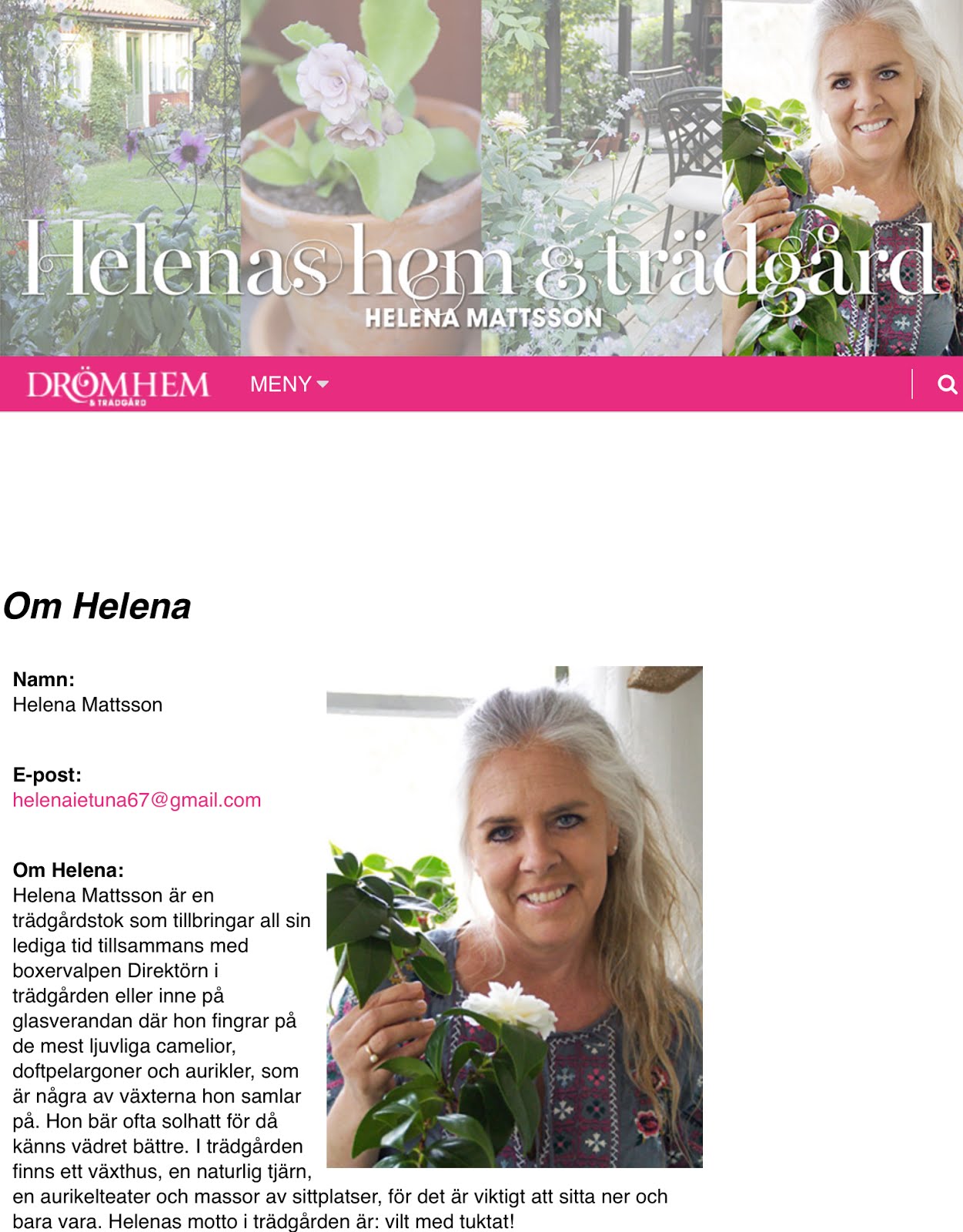 Jag har varit tidningen Drömhem & Trädgårds bloggare  i 2 år