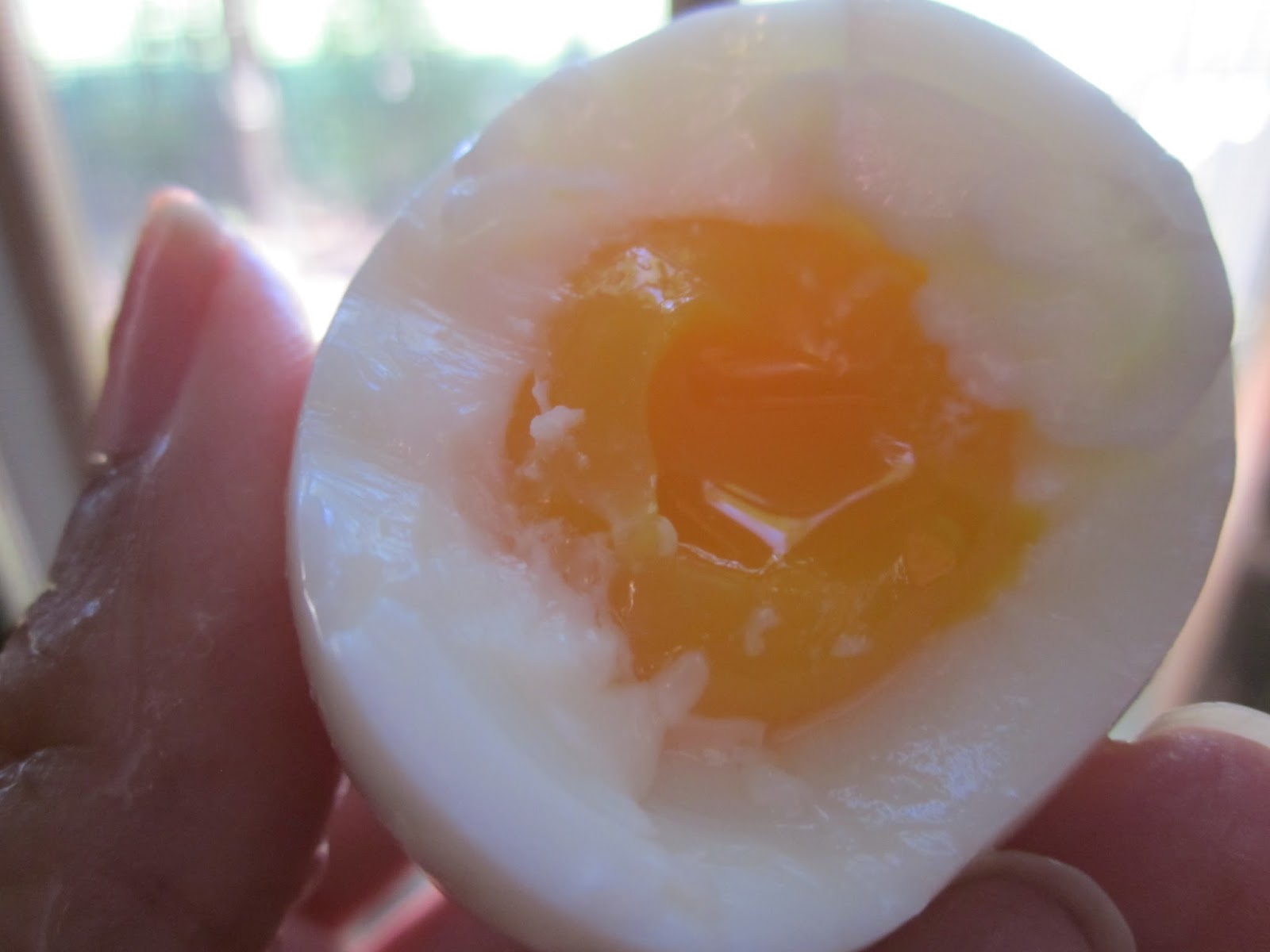 Perfectly Nourished 3 Reasons Why You Should Choose Free Range Eggs