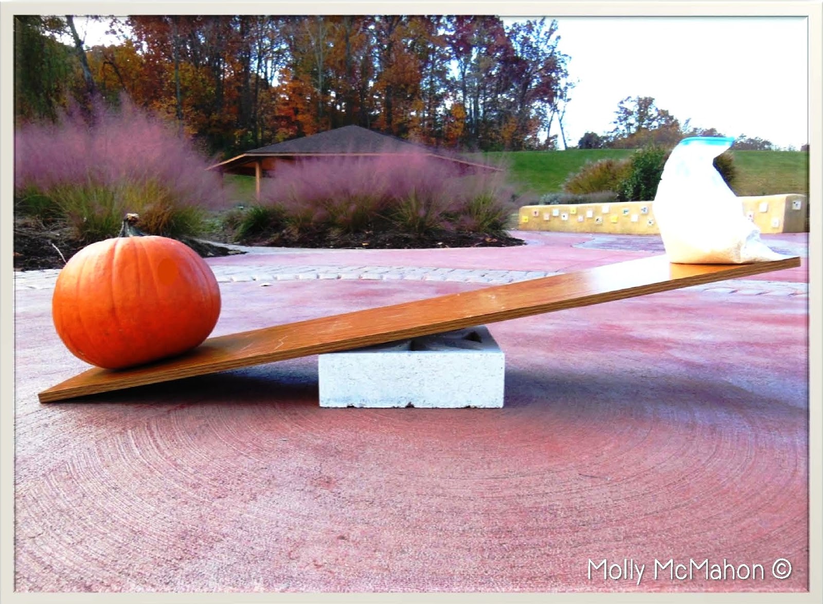 Lessons by Molly Teaching Measuring Weight with NonStandard Units