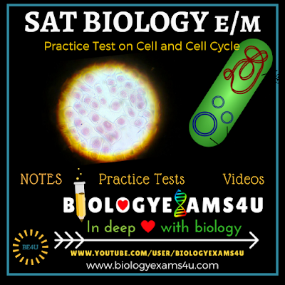 SAT Biology E/M Practice Test on Cell And Molecular Biology
