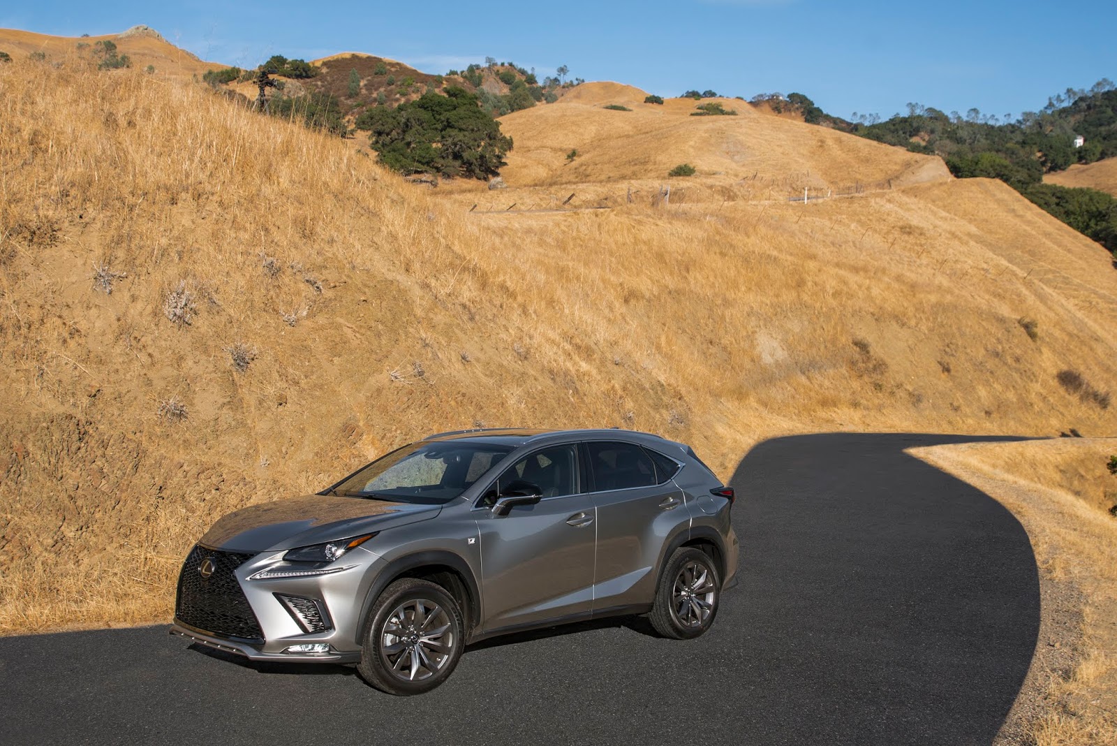 They Grow Up So Fast: The 2018 Lexus NX 300 F SPORT