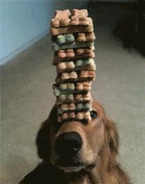 biscuit_tower.gif