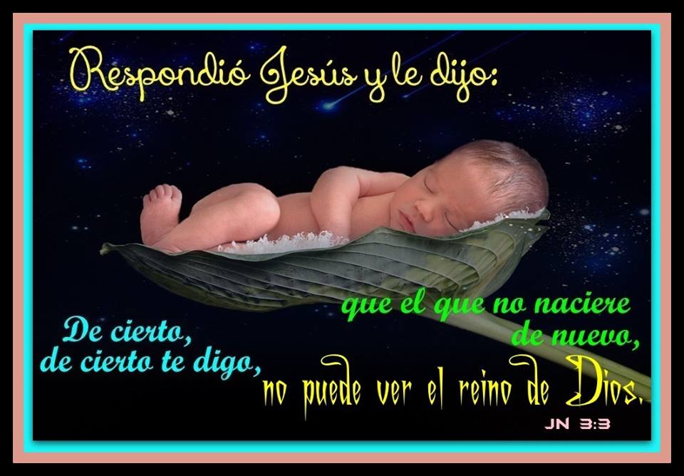 Devocionales Cristianos Maná NACER Devocionales Cristianos Maná NACER