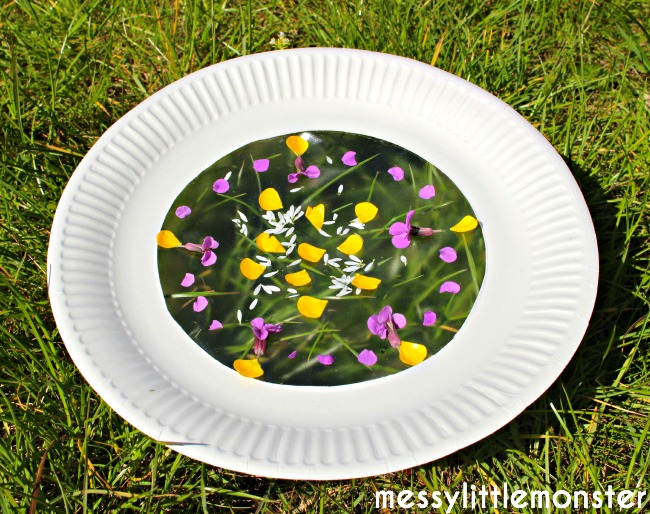 Outside crafts for kids. Flower Petal Paper Plate Suncatcher.  Simple enough for toddlers/ preschoolers/ eyfs. 