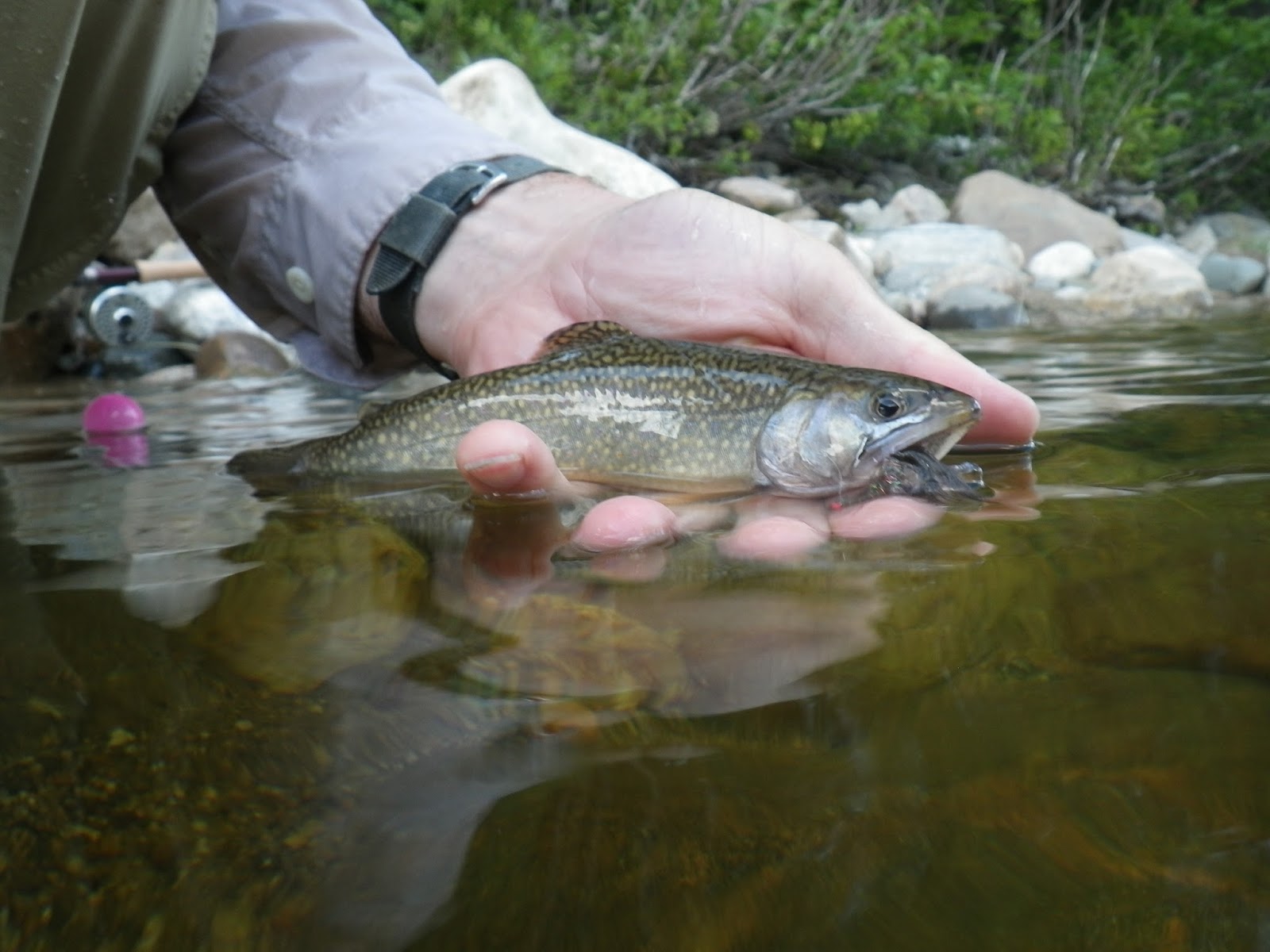 First Cast Fly Fishing Fly Fishing Lessons in New Hampshire The Wild