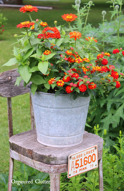 Buckets and Pails as Planters in the Junk Garden