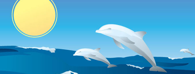 158-Happy_Dolphins.jpg