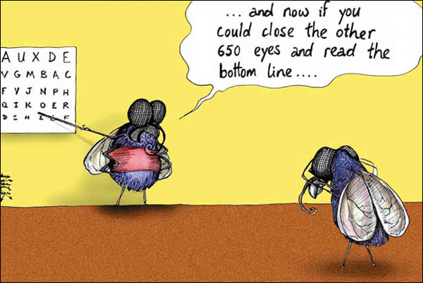 GALLERY FUNNY GAME: Funny jokes