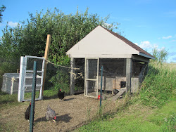 chicken bendickson palace before chickens