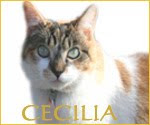 Cecilia