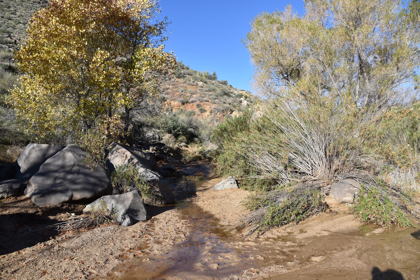 Arizona Hiking BADGER SPRINGS WASH TRAIL
