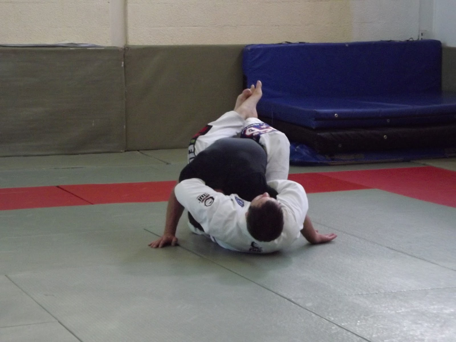 Wayne Perry Judo & BJJ Journey What is BJJ?