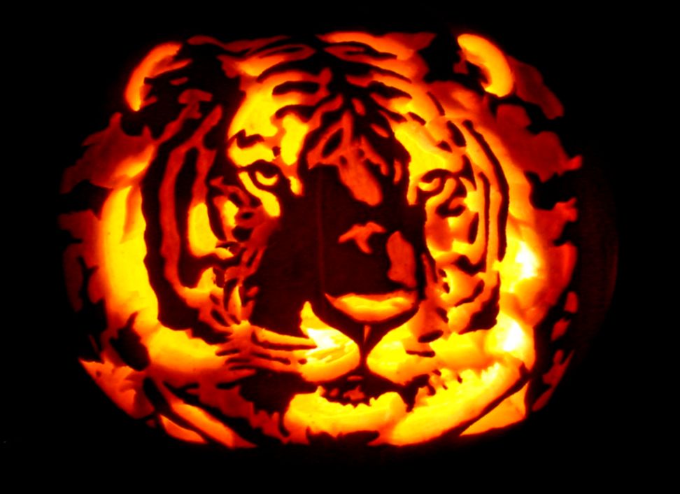 Tiger Pumpkin Carving Wallpaper  FreeHDWal 4027 Wallpaper