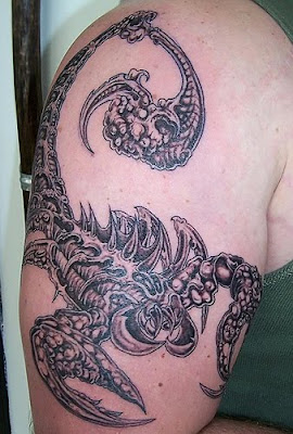 free designs scorpion tattoo 