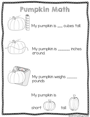 pumpkin math, investigating pumpkins in kindergarten