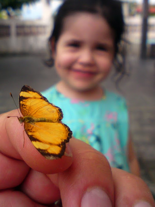 My daughter delighted with the butterfly! Minha filhota encantada com a borboleta...