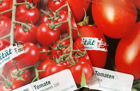 Unterwegs im Garten: Tomaten vorziehen. Ich zeige Euch auf Küstenkidsunterwegs, wie Ihr ganz einfach Tomaten pflanzen könnt! Jetzt ist ein guter Zeitpunkt: Zieht sie im Frühjahr auf der Fensterbank oder einem anderen warmen Ort vor, dann werdet Ihr im Sommer eine reiche Tomaten-Ernte haben.