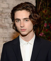Timothee Chalamet to Play Bob Dylan in Film Directed by James Mangold