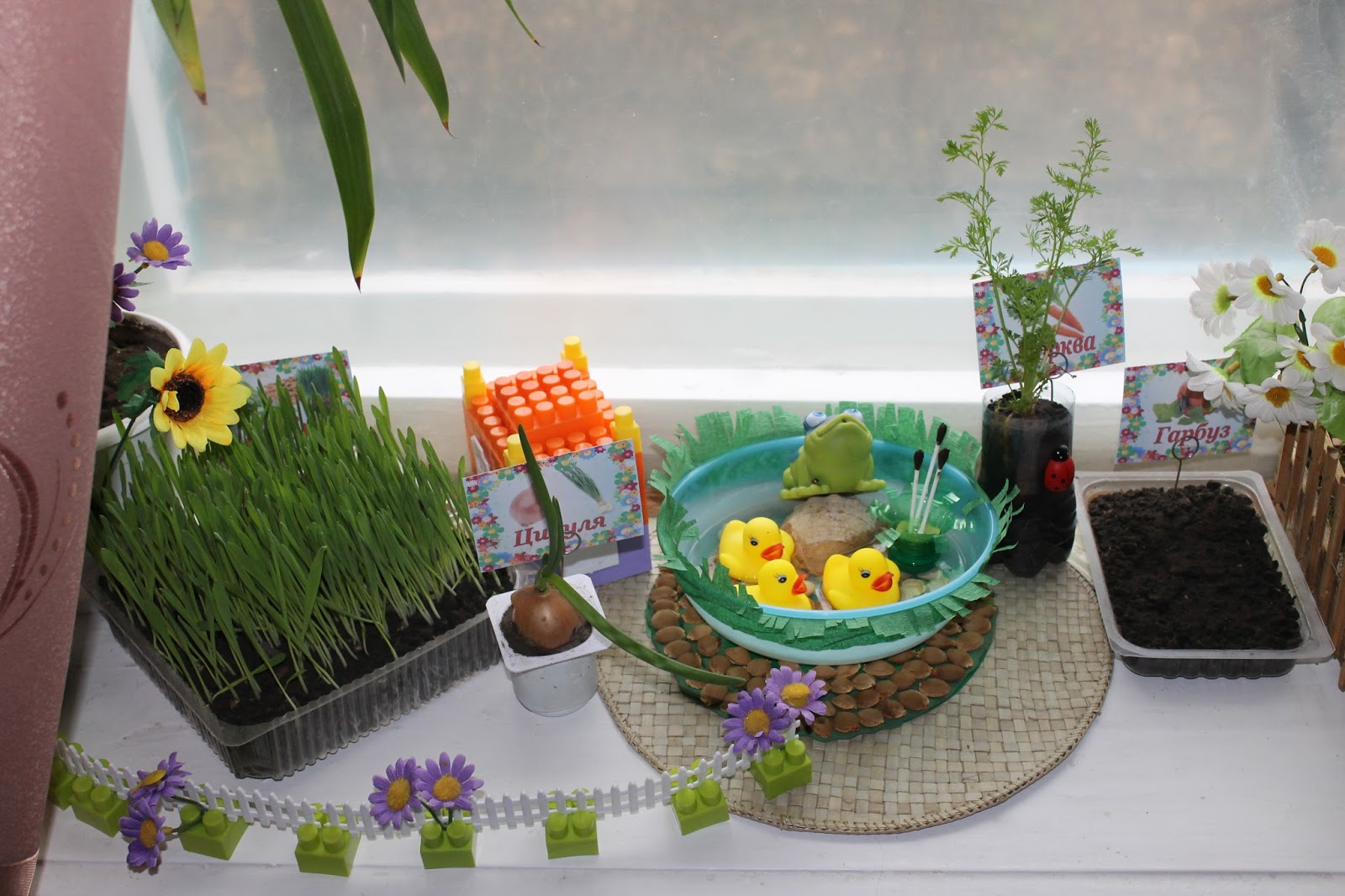 Спостережень