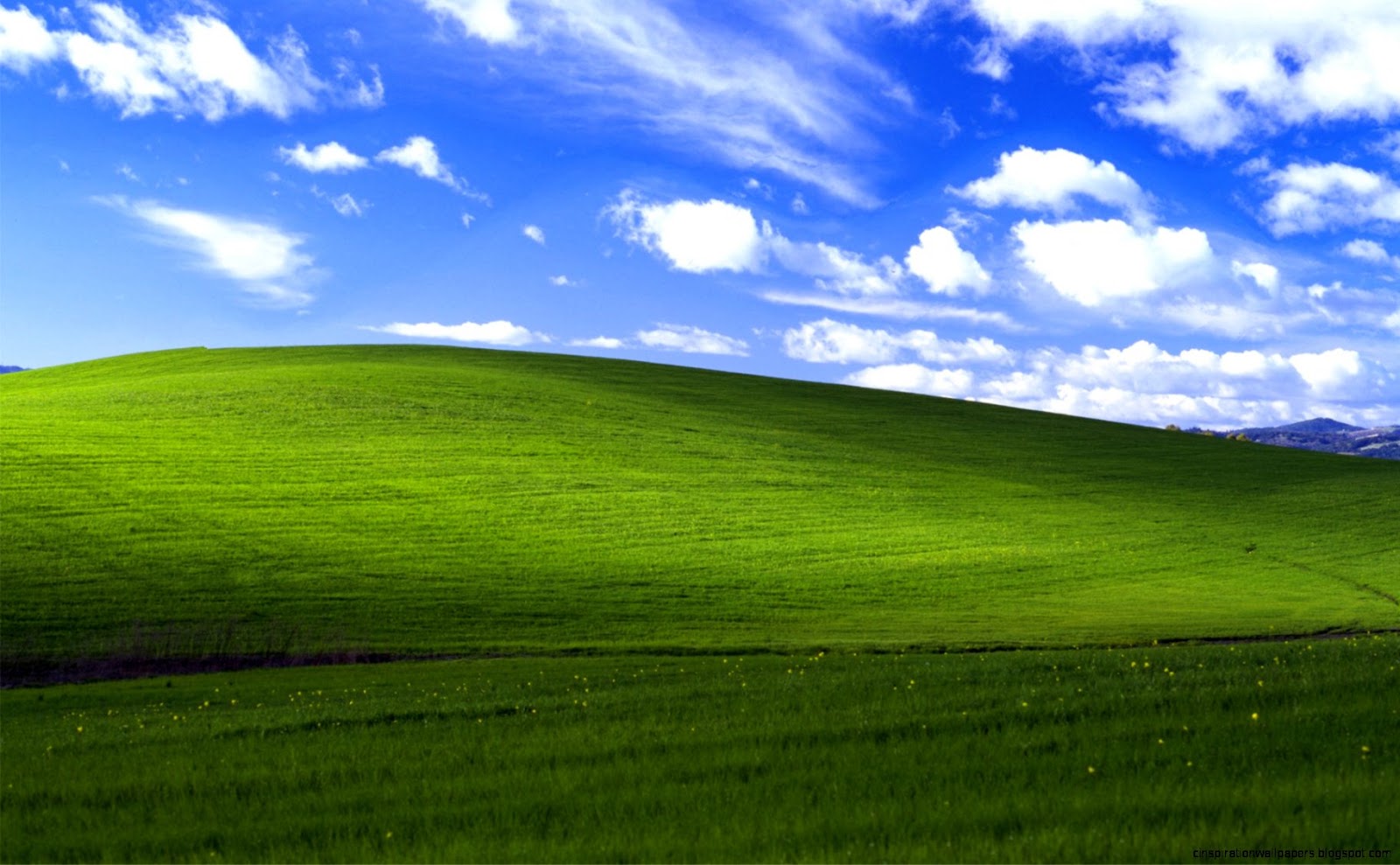 Windows XP Desktop