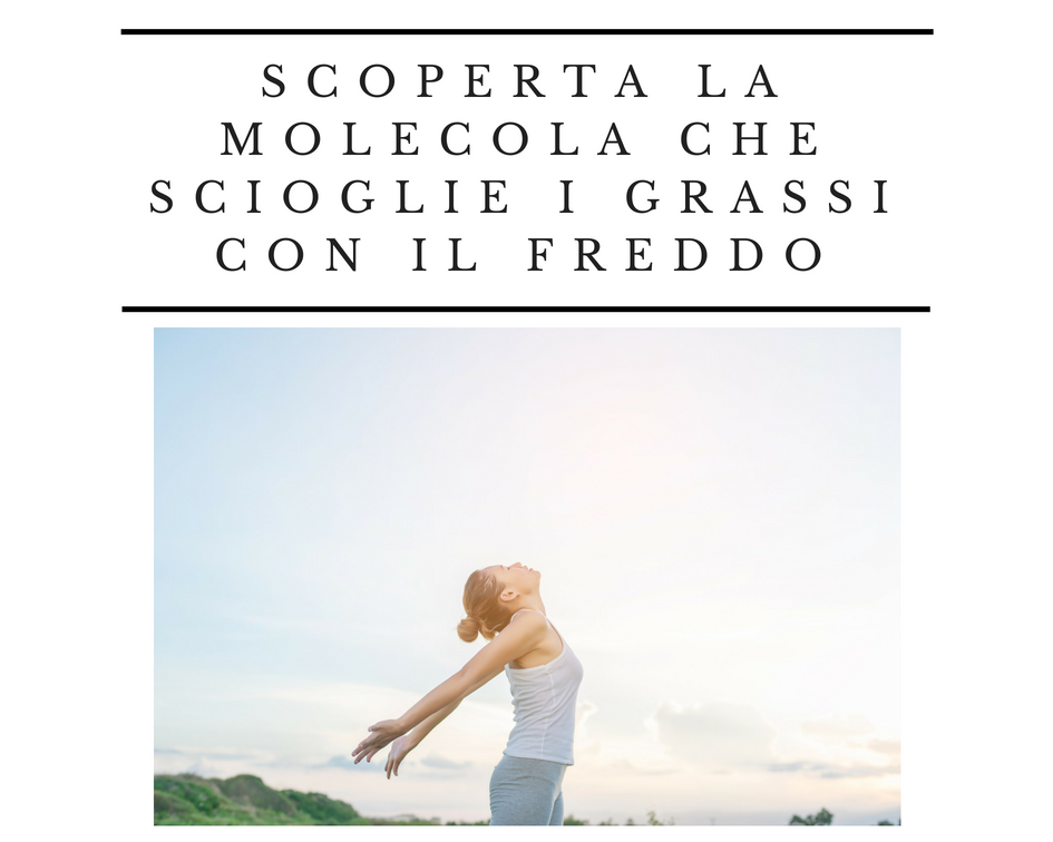 togliere il grasso con il freddo togliere il grasso con il freddo