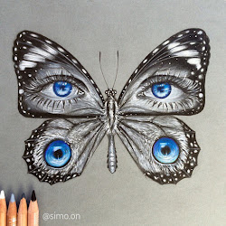 butterfly drawings colored eyes drawing pencils designstack architecture