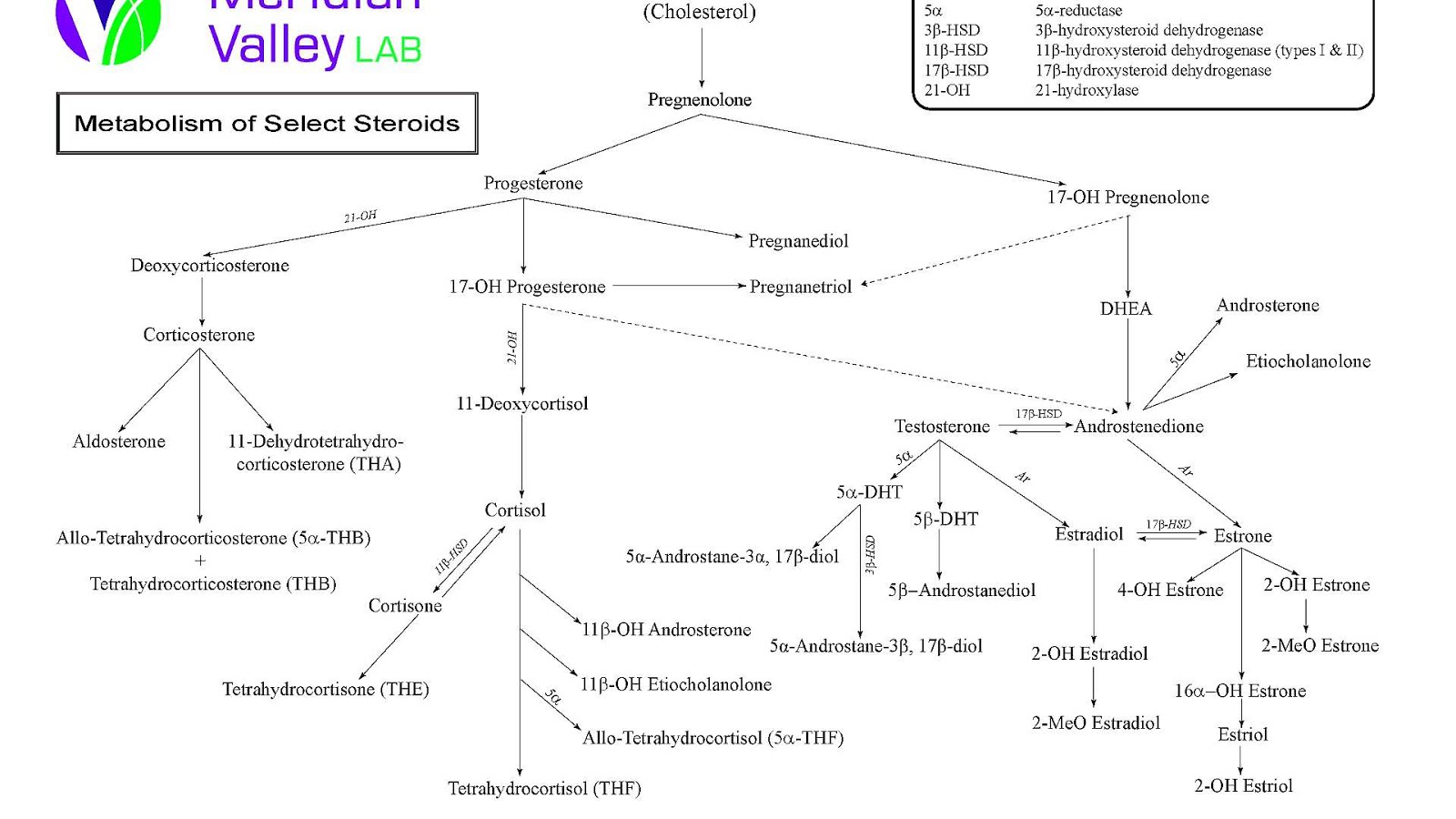 Hormone Test For Menopause Menopause Choices